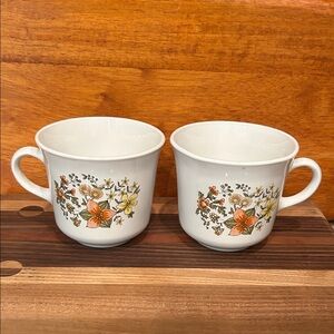 VTG Corelle Indian Summer 2 Piece Coffee Tea Cup Mug Cups Corning 1970s